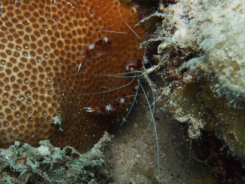 Curacao 04-12 097.jpg
